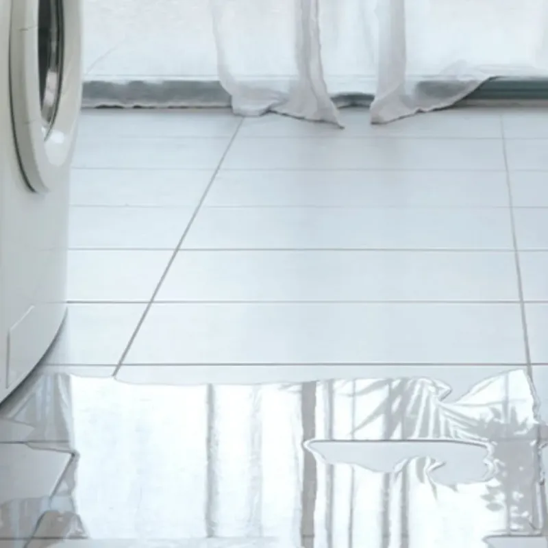 Appliance Leak Cleanup in Sneads, FL