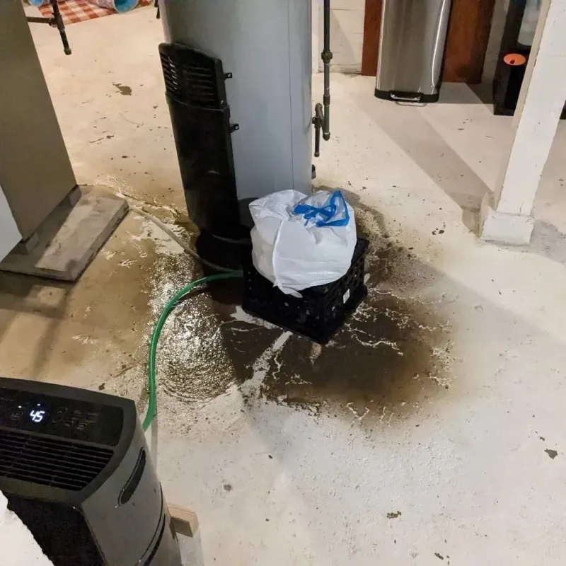 Sewage Backup Cleanup Service in Sneads, FL